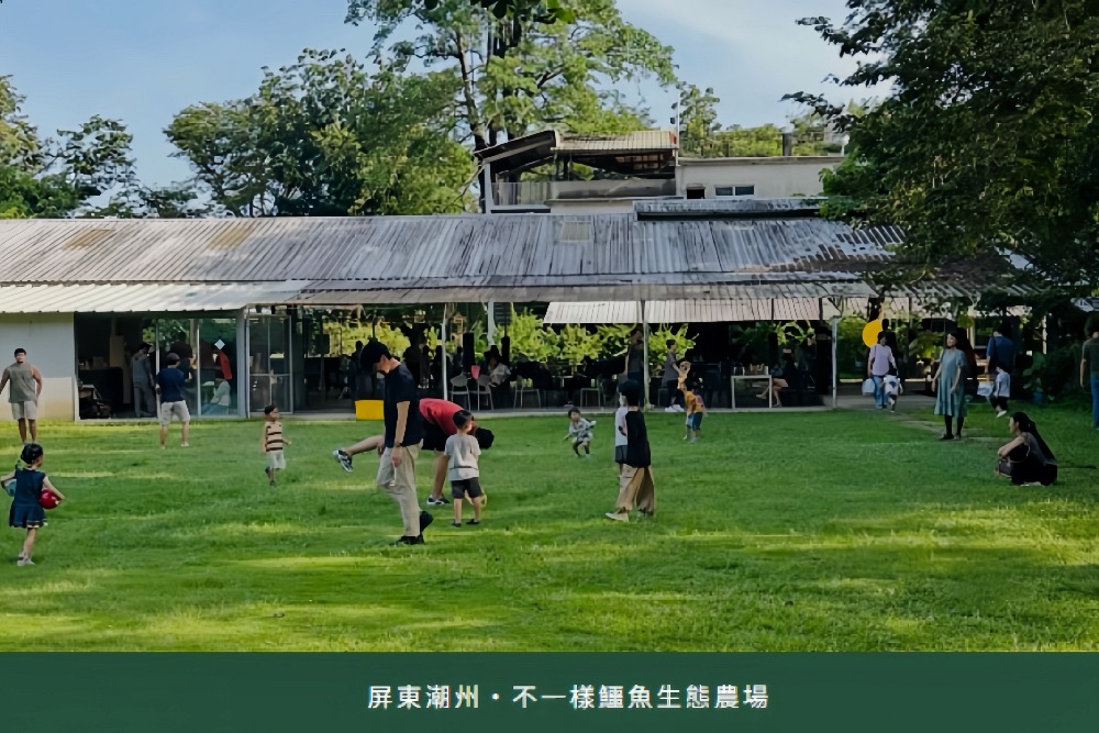 週末帶孩子這樣玩！體驗「不一樣」的農場生態課，抱雞、披蛇、近距離看大鱷魚！