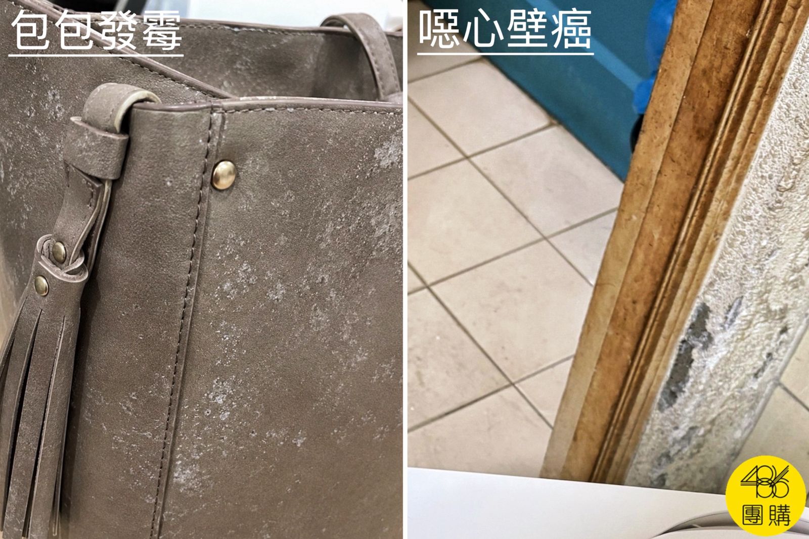 灰色皮革包包表面佈滿白色霉斑,以及牆角嚴重壁癌剝落,顯示室內濕度過高造成的發霉災情