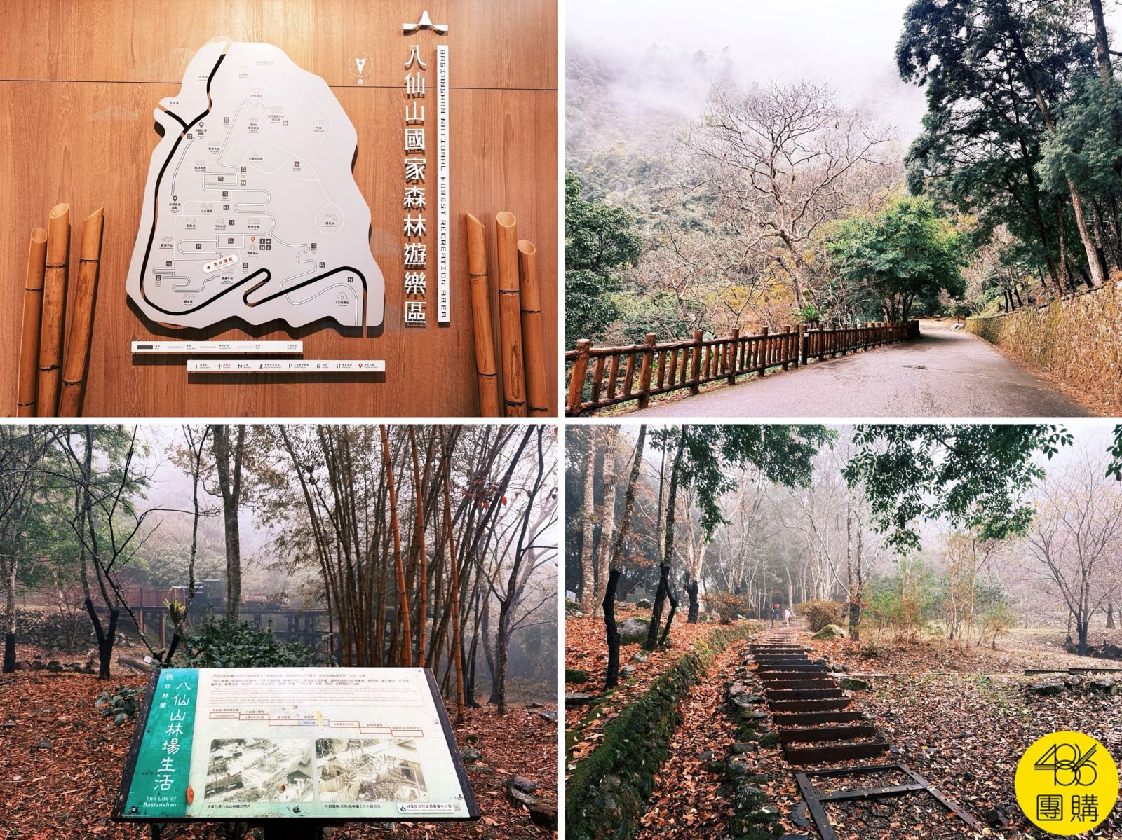 台中八仙山一日遊怎麼玩?走神社步道、親水區泡腳,還驚喜捕獲「國寶級藍腹鷴」!