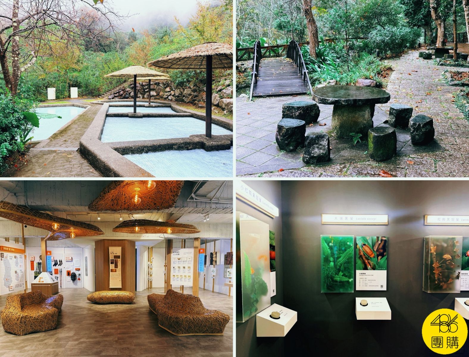 台中八仙山一日遊怎麼玩?走神社步道、親水區泡腳,還驚喜捕獲「國寶級藍腹鷴」!