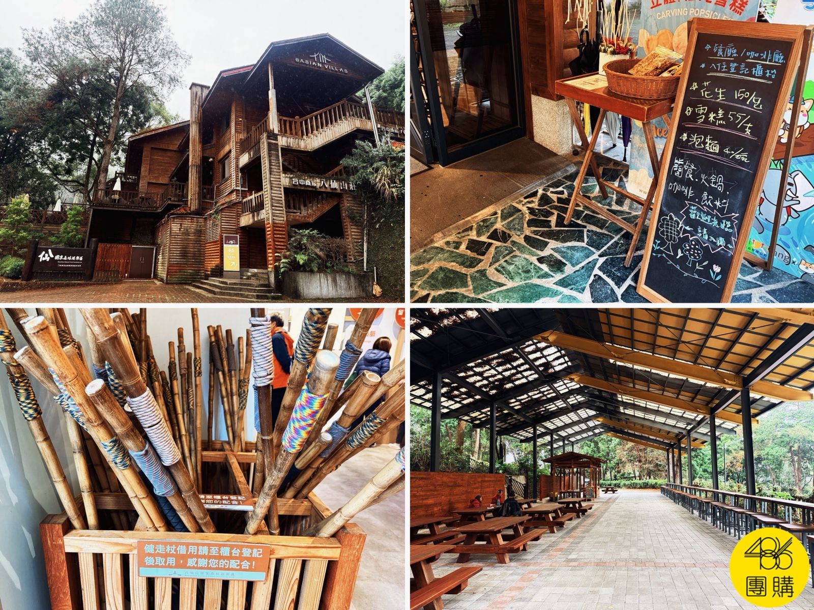 台中八仙山一日遊怎麼玩?走神社步道、親水區泡腳,還驚喜捕獲「國寶級藍腹鷴」!