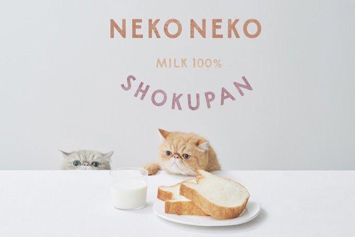 貓奴們都瘋了 Neko Neko Shokupan 超可愛貓咪造型吐司 486先生